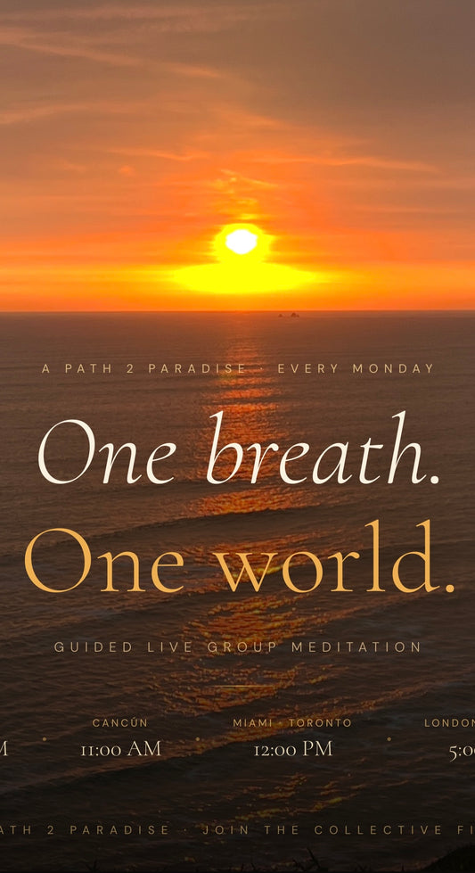 Guided Live Meditation | Group Online Every Monday